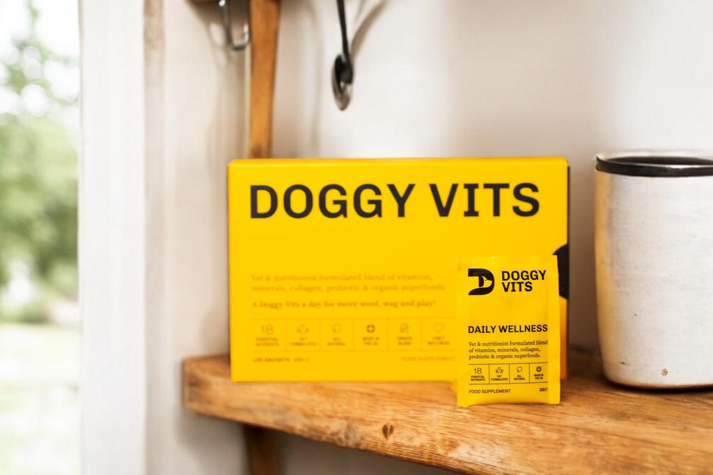 Doggy Vits Daily Multivitamin Dog Supplement product image