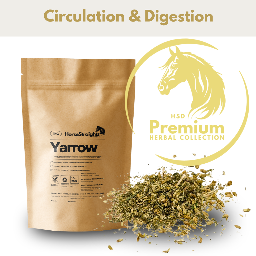 Yarrow for Horses - Wellbeing Pets