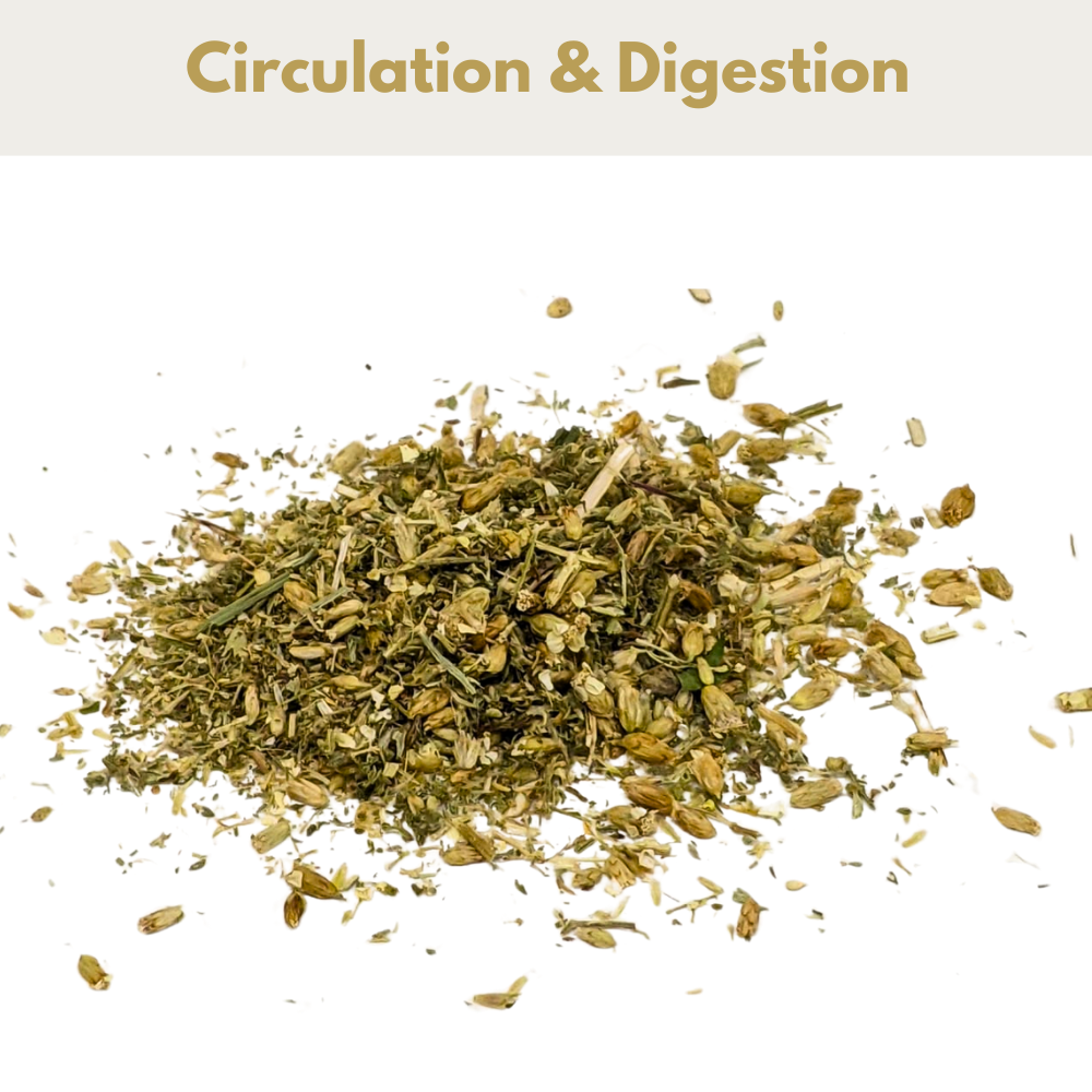 Yarrow for Horses - image 2 - Wellbeing Pets