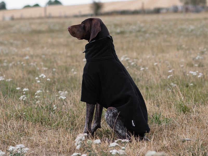 Wide Fit Fleece Dog Jumper - Black