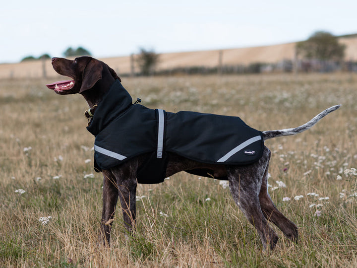 Luxe Waterproof Dog Coat 250g - Black