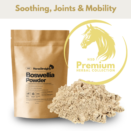 Boswellia Powder for Horses