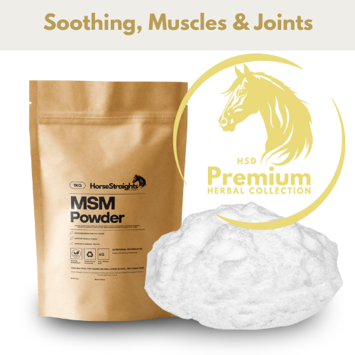 MSM for Horses | Equine Joint Supplement