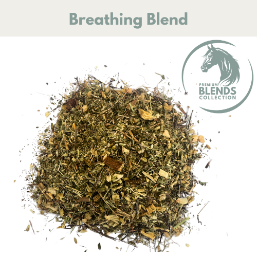 Breathing Blend for Horses - image 2 - Wellbeing Pets