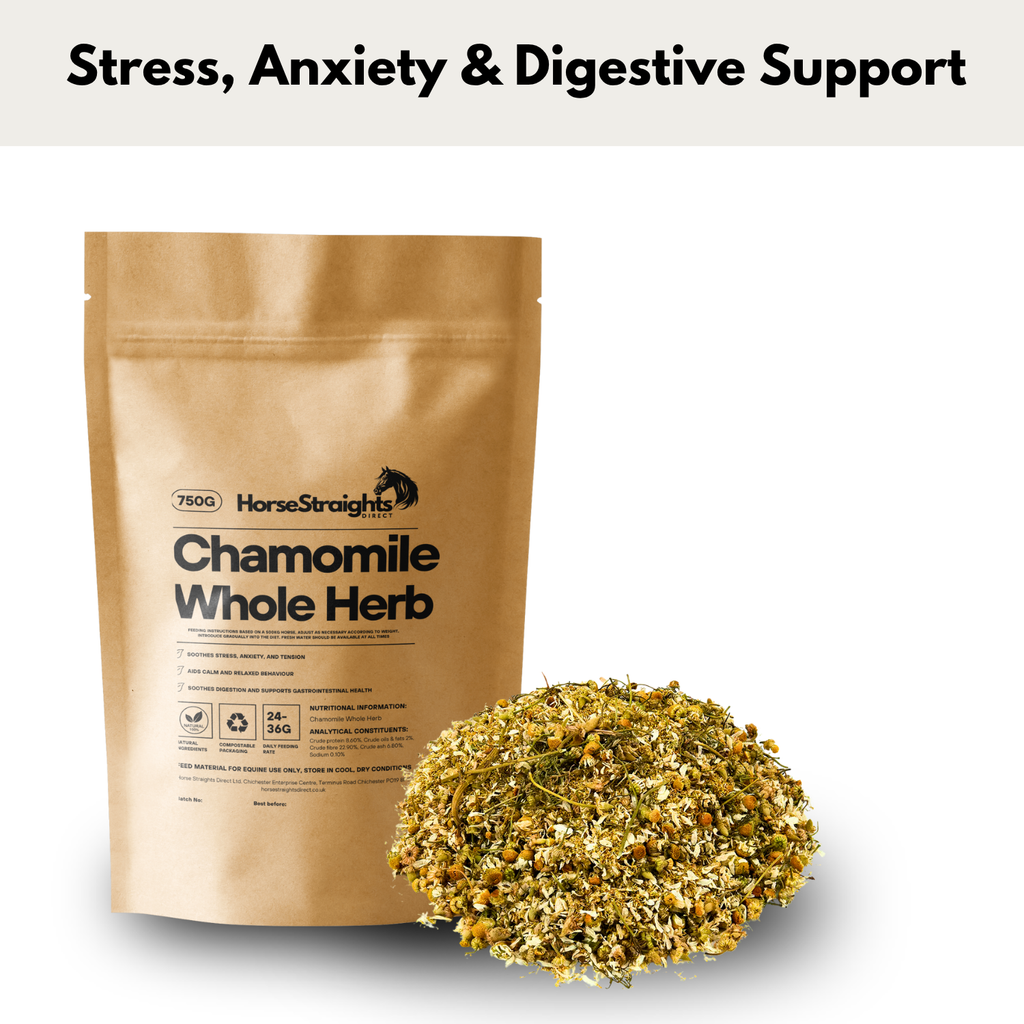 Chamomile Whole Herb for Horses - Wellbeing Pets