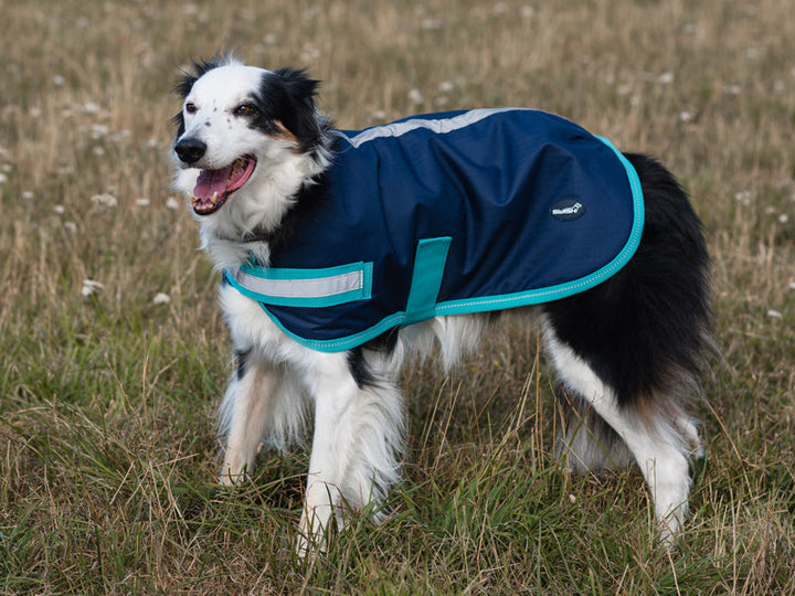 Classic Waterproof Dog Coat 150g - Navy