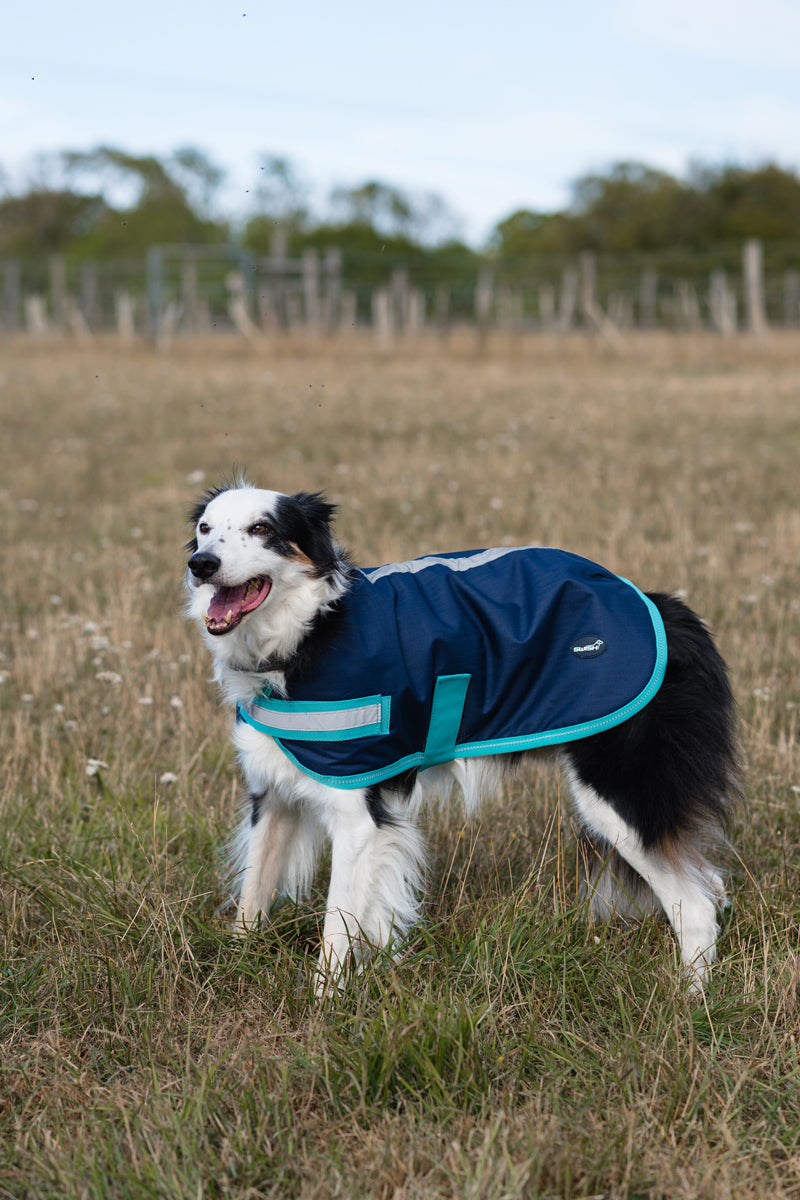 Classic Waterproof Dog Coat 250g - Navy