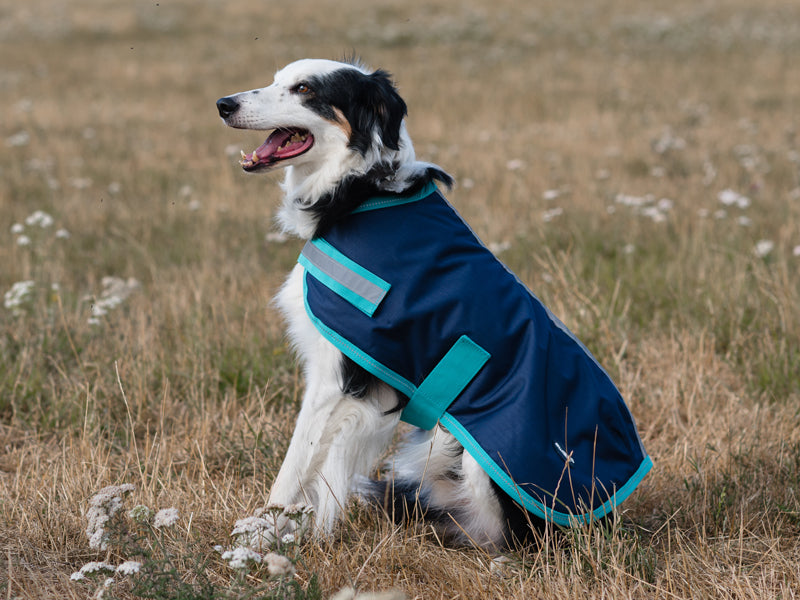 Classic Waterproof Dog Coat 250g - Navy