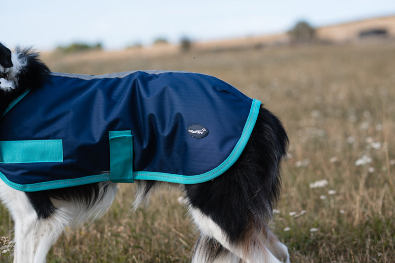 Classic Waterproof Dog Coat 250g - Navy