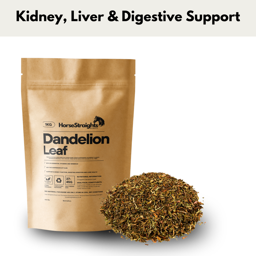 Dandelion Leaf for Horses | Chopped Herb - Wellbeing Pets