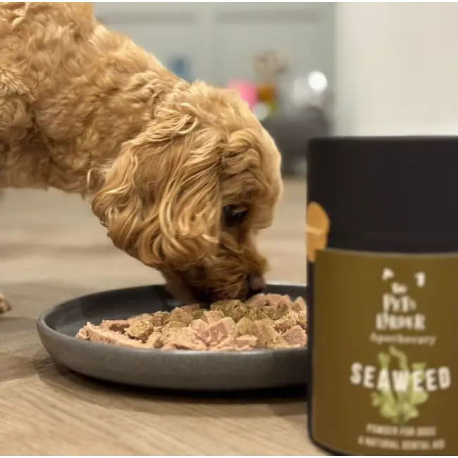 Dental Seaweed Powder for Dogs & Cats by The Pets Larder – image 6