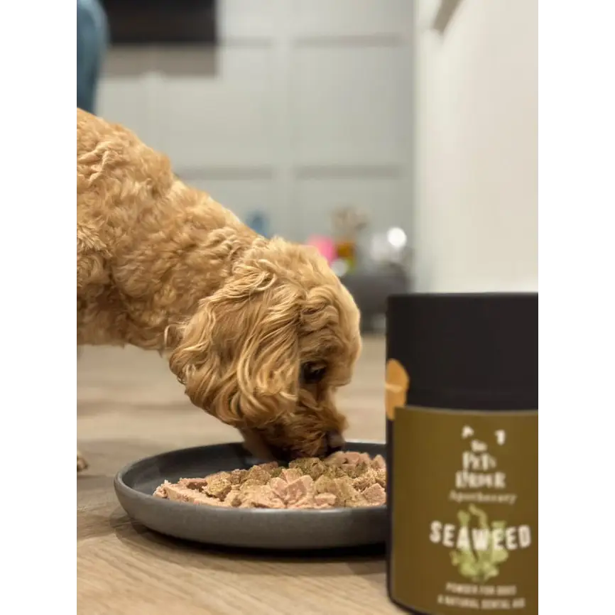 Dental Seaweed Powder for Dogs & Cats by The Pets Larder – image 2