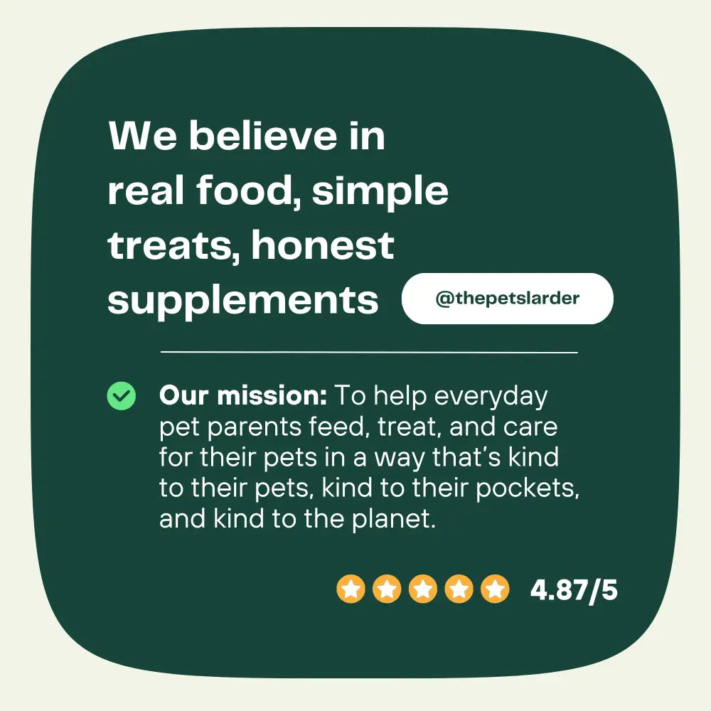Dental Seaweed Powder for Dogs & Cats by The Pets Larder – image 8