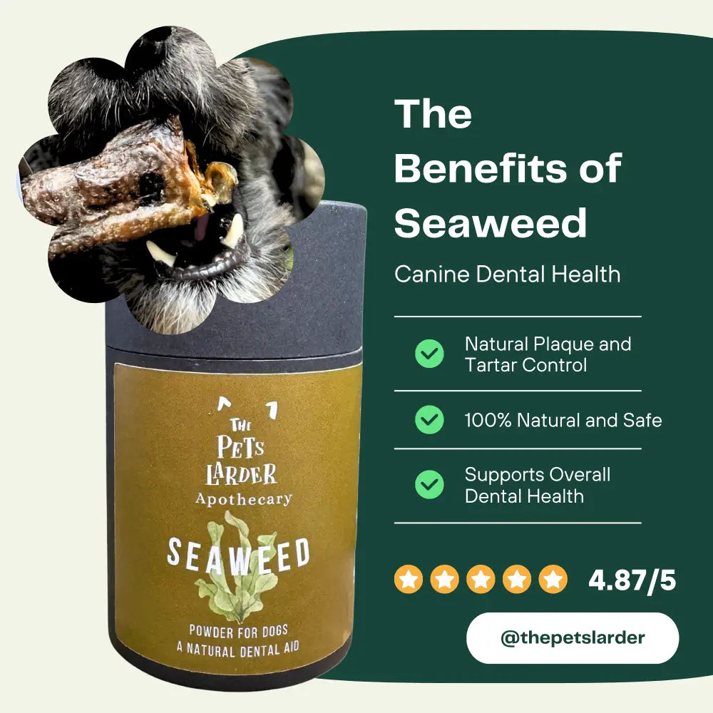 Dental Seaweed Powder for Dogs & Cats by The Pets Larder – image 4