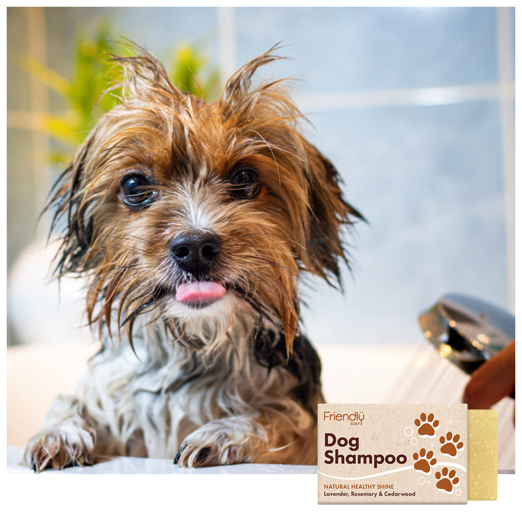 Dog Shampoo - Lavender, Rosemary & Cedarwood product image
