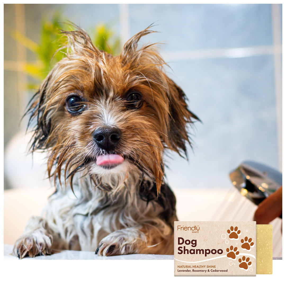 Dog Shampoo - Lavender, Rosemary & Cedarwood product image