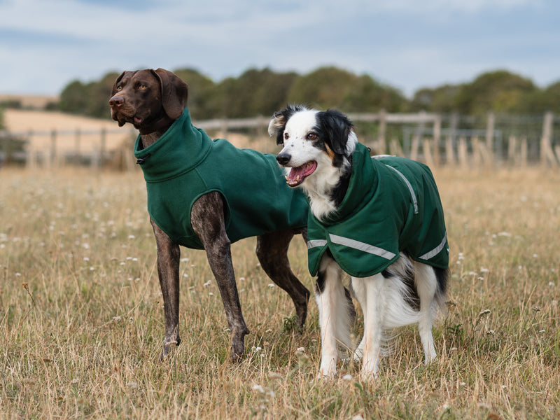 Luxe Waterproof Dog Coat 250g - Hunter Green