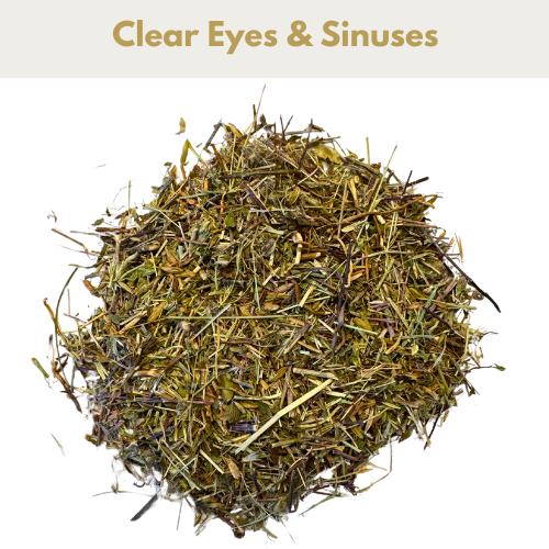 Eyebright for Horses - image 2 - Wellbeing Pets