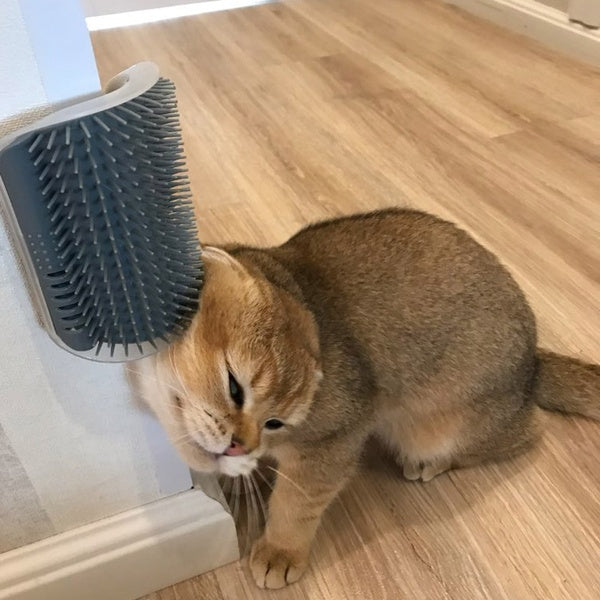 Cat Self-Grooming Wall Brush product image