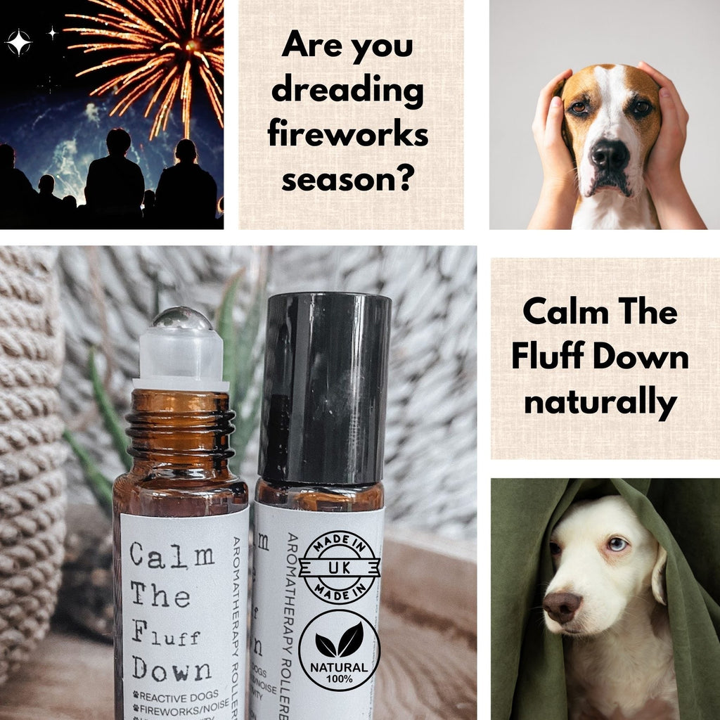 Natural Aromatherapy Rollerball For Dogs product image