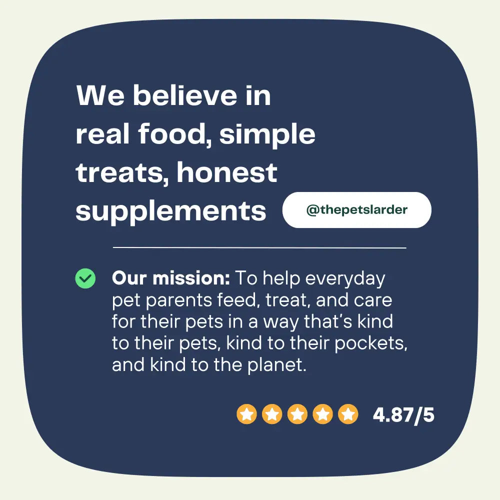 Fish Stick Chews for Dogs by The Pets Larder – image 9