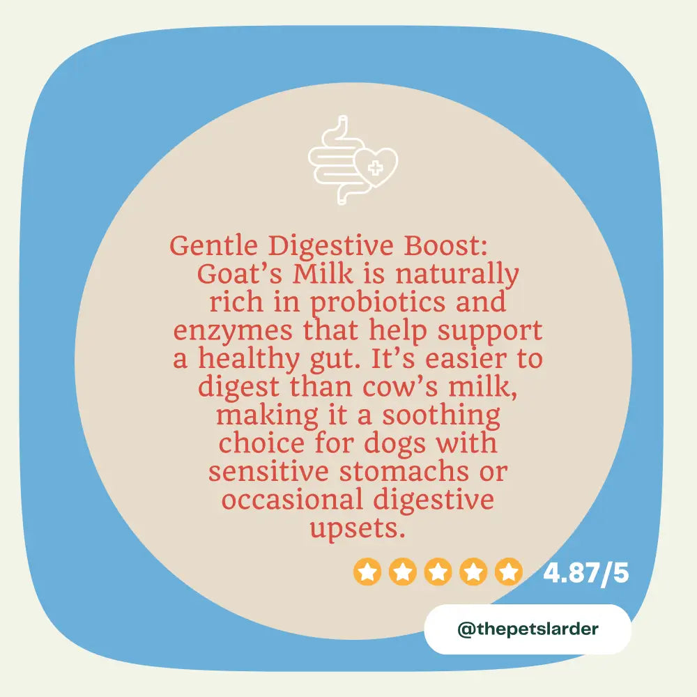 Goat's Milk Powder for Dogs | Digestive Support by The Pets Larder – image 5
