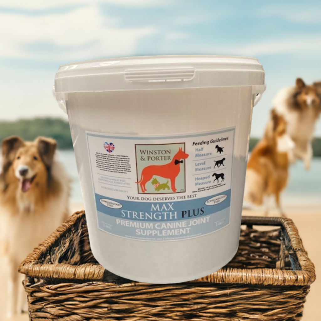 Max Strength Plus | Canine Joint Support by Winston and Porter – image 1