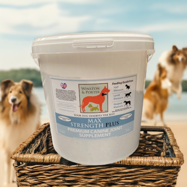 Max Strength Plus | Canine Joint Support