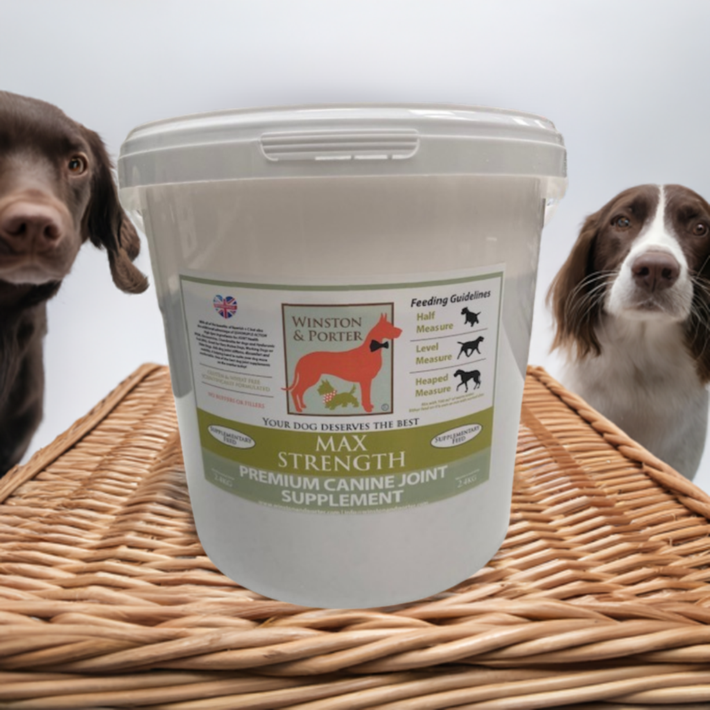 Max Strength Canine Joint Support by Winston and Porter – image 1