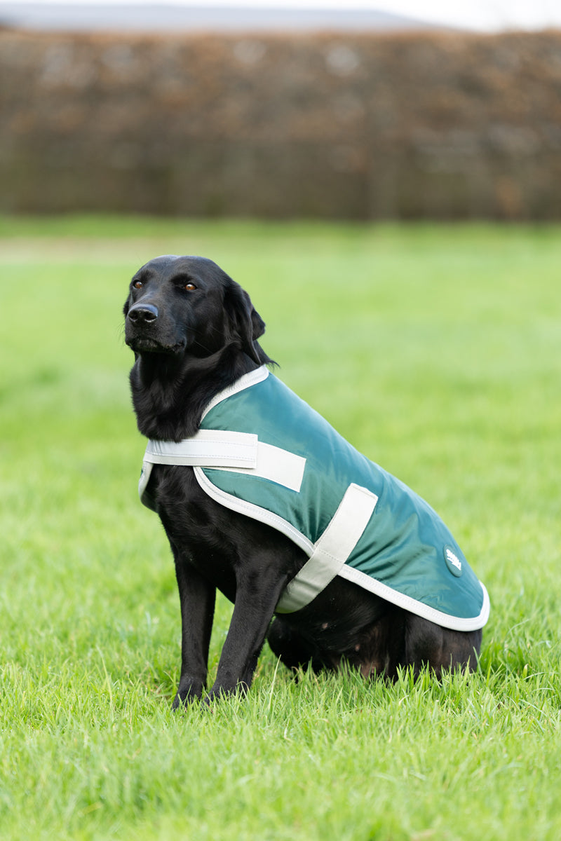 Classic Waterproof Dog Coat 240g - Hunter Green