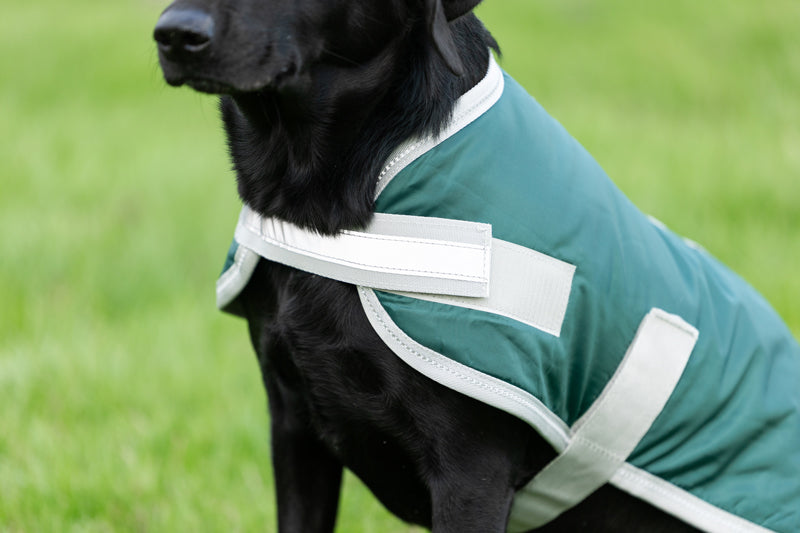 Classic Waterproof Dog Coat 240g - Hunter Green