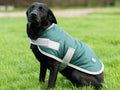 Classic Waterproof Dog Coat 240g - Hunter Green