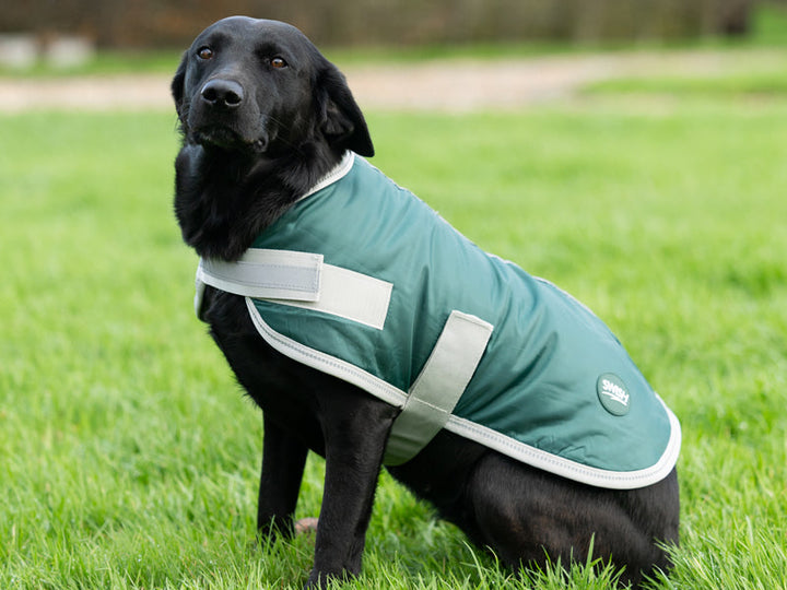 Classic Waterproof Dog Coat 240g - Hunter Green