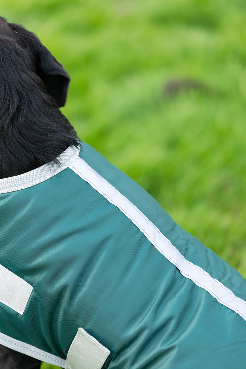 Classic Waterproof Dog Coat 240g - Hunter Green