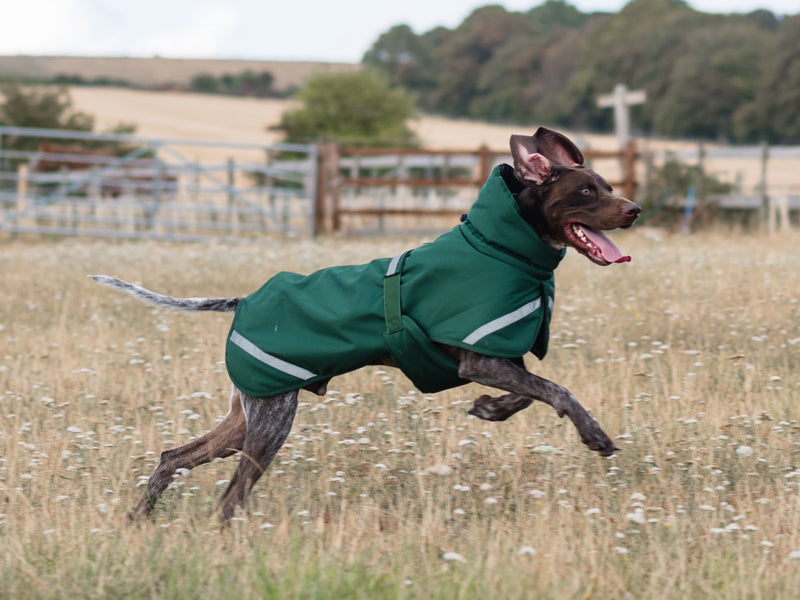 Luxe Waterproof Dog Coat 0g - Hunter Green