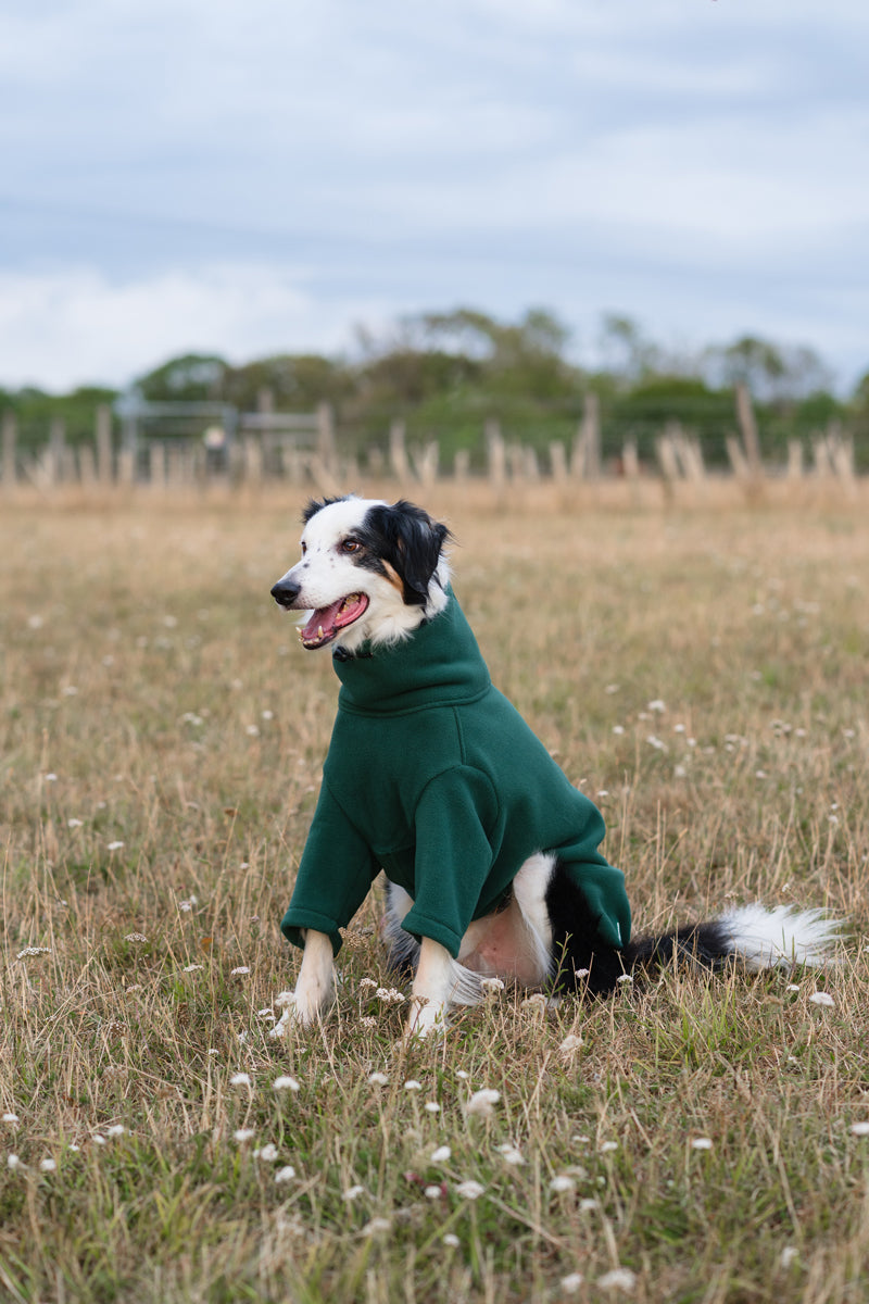 Wide Fit Fleece Dog Jumper - Hunter Green