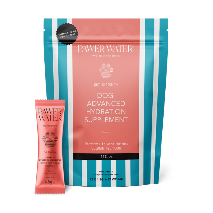 Pawer Water Gut Support | 12 Sticks