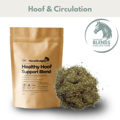 Healthy Hoof Support Blend for Horses - Wellbeing Pets