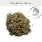 Healthy Hoof Support Blend for Horses - image 2 - Wellbeing Pets