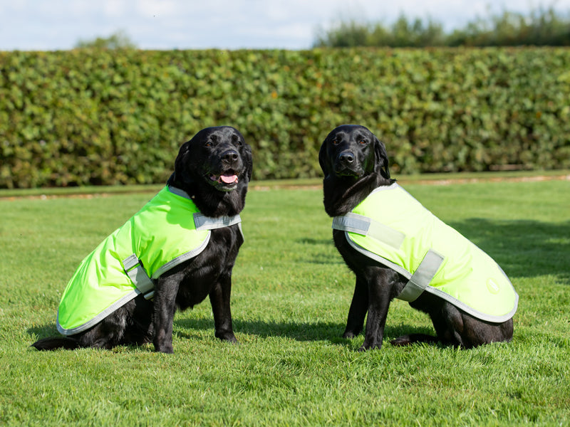 Classic Waterproof Dog Coat 240g - High Viz Yellow