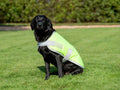 Classic Waterproof Dog Coat 240g - High Viz Yellow
