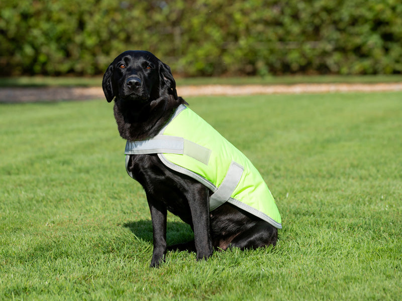 Classic Waterproof Dog Coat 240g - High Viz Yellow