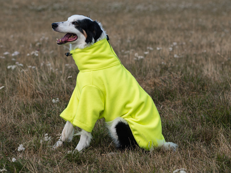 Wide Fit Fleece Dog Jumper - High Viz Yellow