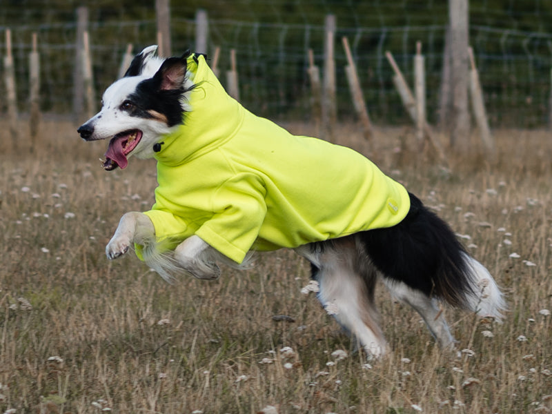 Wide Fit Fleece Dog Jumper - High Viz Yellow