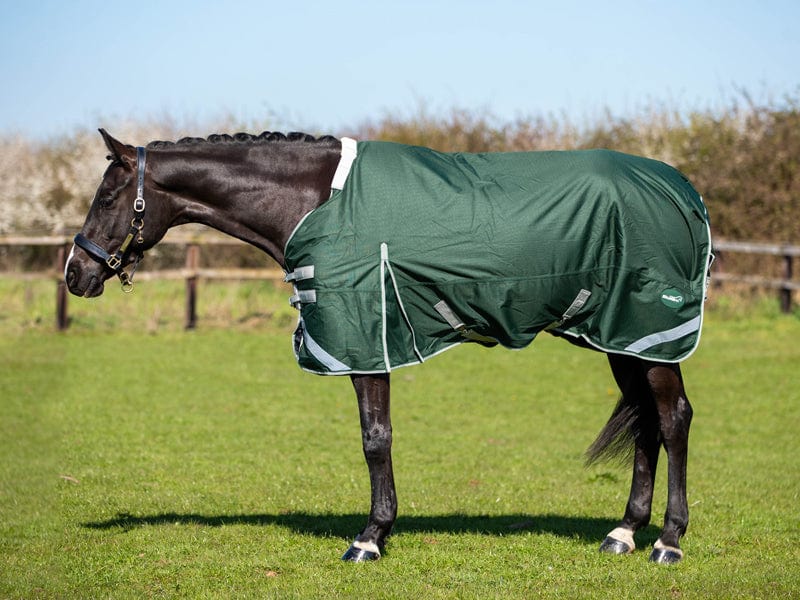 50g Detachable Neck Turnout Rug - Hunter Green
