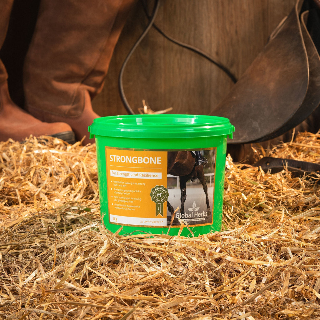 Global Herbs StrongBone for Horses | 1kg