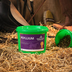 Psyllium 1kg - Global Herbs - product image - Wellbeing Pets