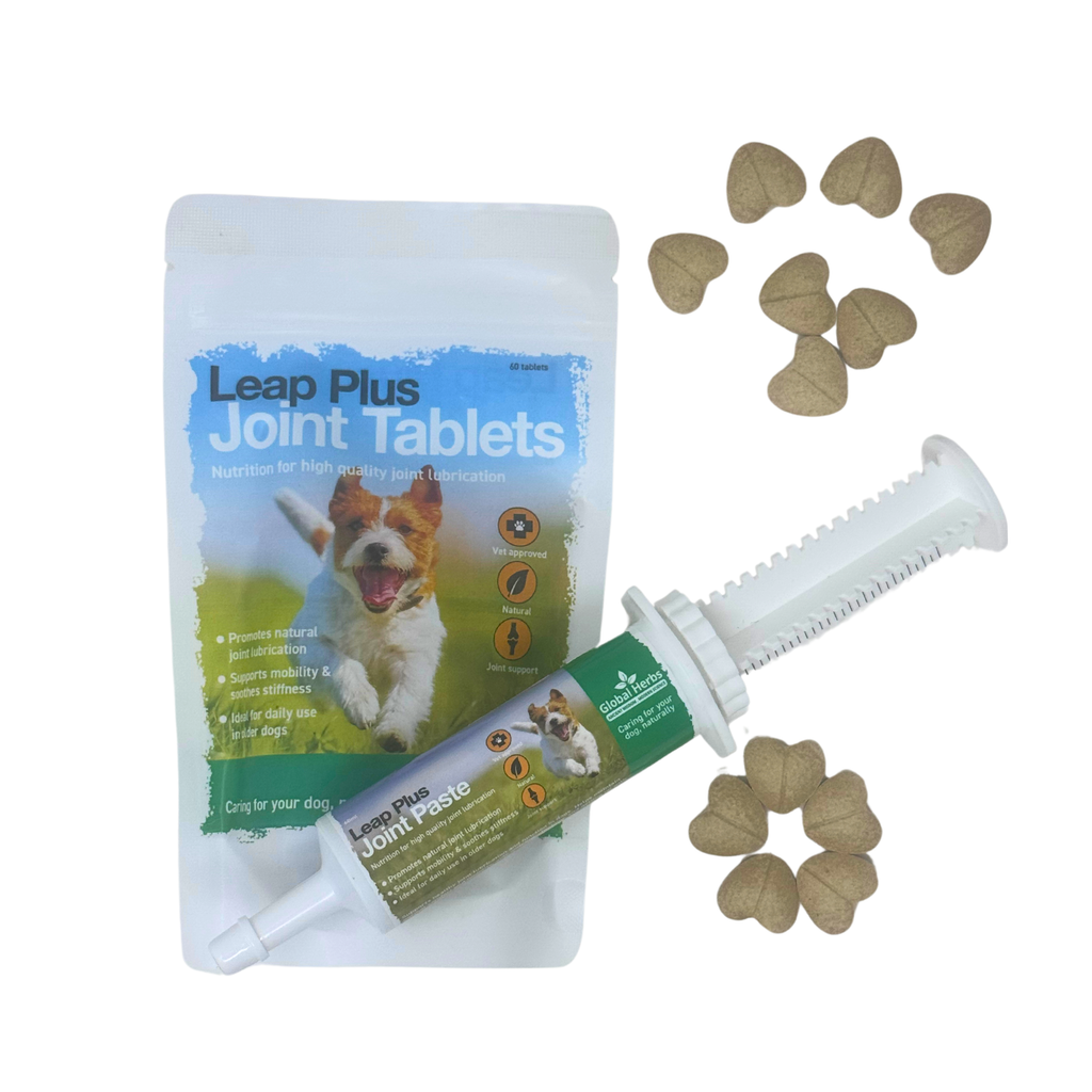 Global Herbs Leap Plus Joint Tablets for Dogs | 60 Tablets by Global Herbs (Europe) Ltd – image 3