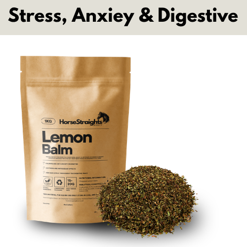 Lemon Balm for Horses | Chopped Herb - Wellbeing Pets