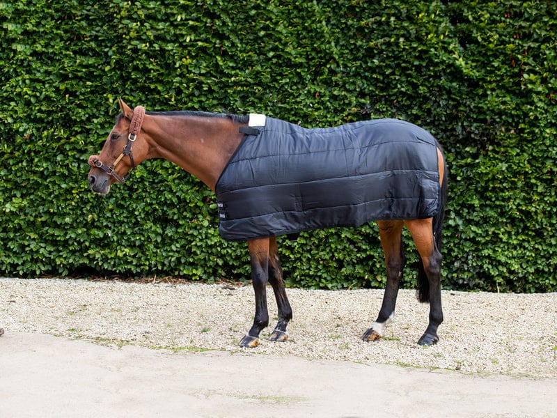 100g Horse Rug Liner